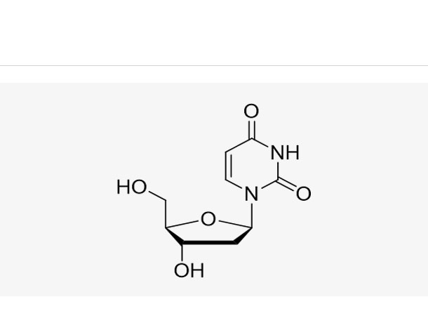 2'-Deoxyuridine (dU)