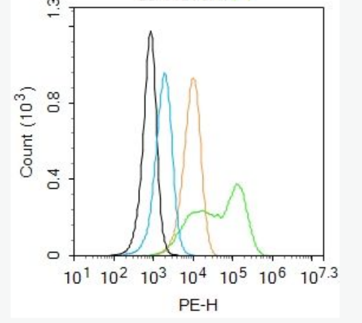 Anti-CNTNAP4 antibody-接触蛋白相关蛋白4抗体