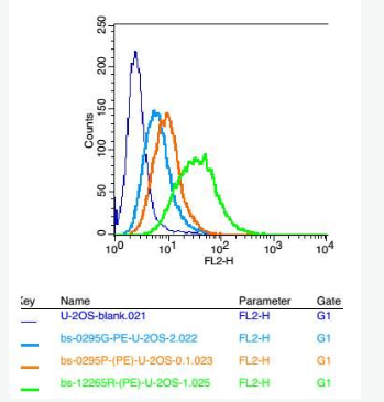 Anti-Fragilis antibody-干扰素诱导跨膜蛋白3抗体