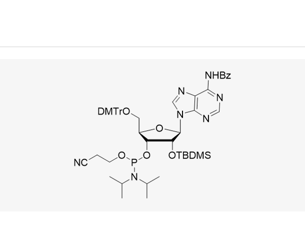 DMT-2'-O-TBDMS-A(Bz)-CE