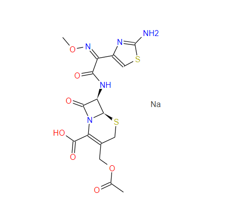 多种规格包装的头孢噻肟钠