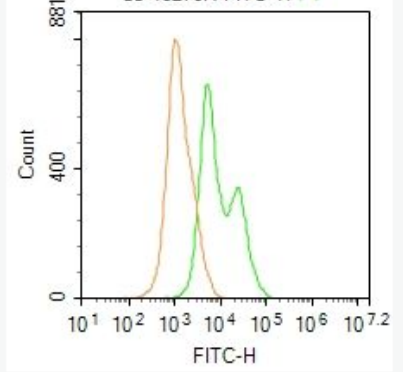 Anti-PIK3 gamma antibody-磷脂酰肌醇激酶PIK3-γ抗体