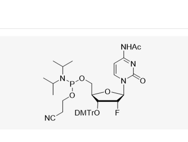 3'-DMT-2'-F-dC(Ac)-CE Reverse