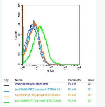 Anti-PEPT1 antibody-肠道肽转运蛋白1/小肽转运蛋白1抗体