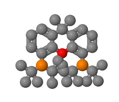 856405-77-1；9,9-二甲基-4,5-双(二叔丁基膦)二苯并-Γ-吡喃