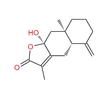 白术内酯III