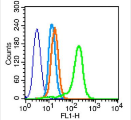 Anti-CXCL2 antibody-巨噬细胞炎症蛋白2（ GRO β）抗体