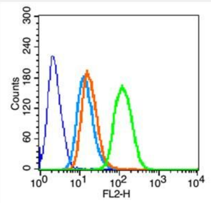 Anti-Integrin beta 1/CD29 antibody-整合素β1（CD29）抗体