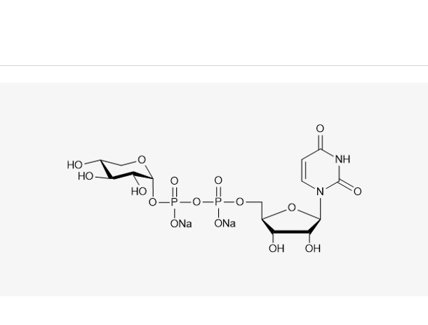 UDP-Xyl.2Na(98%)