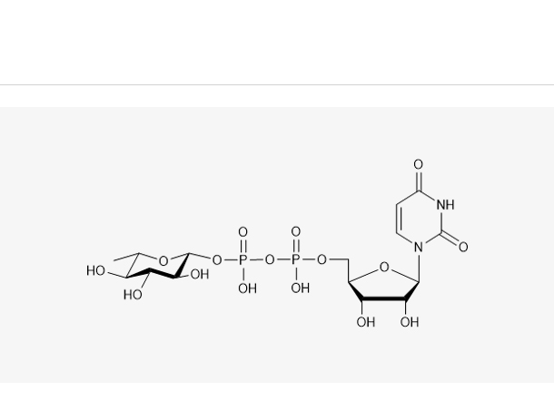 UDP-β-L-Rhamnose