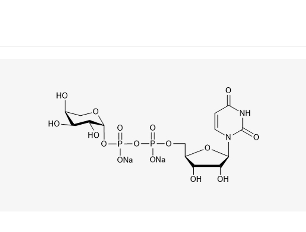 UDP-β-L-Ara.2Na