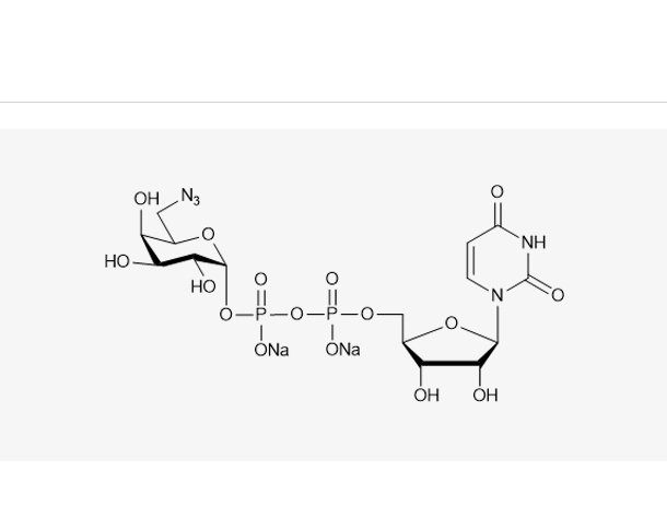 UDP-6-azido-6-deoxy-D-Gal.2Na(95%;98%)