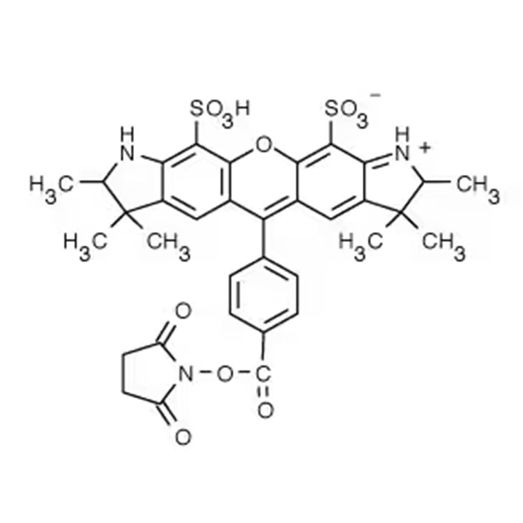 AF532-NHS，AF532-SE，AF532-琥珀酰亚胺酯 是将该染料与蛋白或抗体偶联的较常用工具