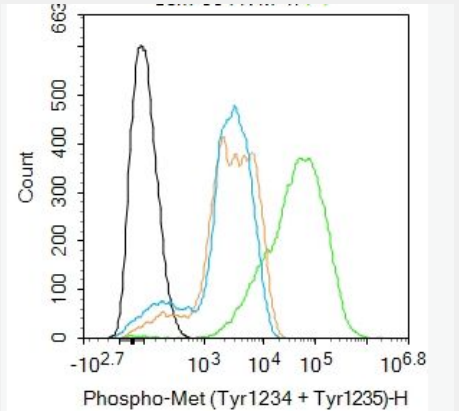 Anti-P63 antibody-肿瘤抑制基因p63α单克隆抗体