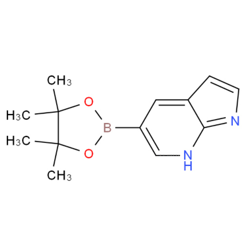 7-氮杂吲哚-5-硼酸频哪醇酯