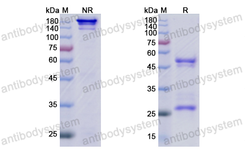 Research Grade Varisacumab(DHD12604)