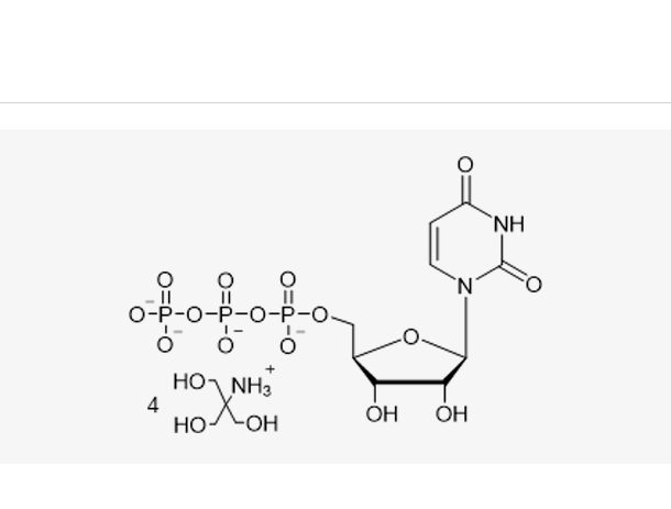 UTP Tris solution (100 mM)