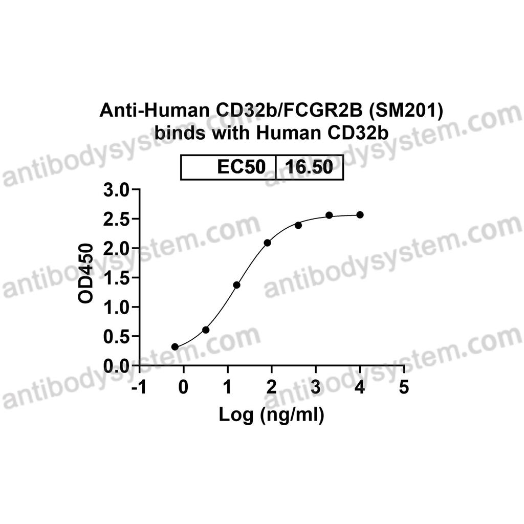 Research Grade Anti-Human CD32b/FCGR2B (SM201) DHD97906