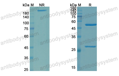 Research Grade Zampilimab(DHD49201)