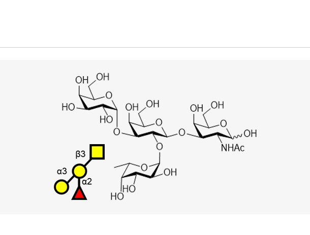 Blood type tetrasaccharide B Type III/IV