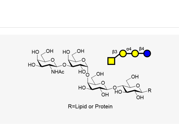 P ( Galb1,3Gala1,4Galb1,4GlcbR )