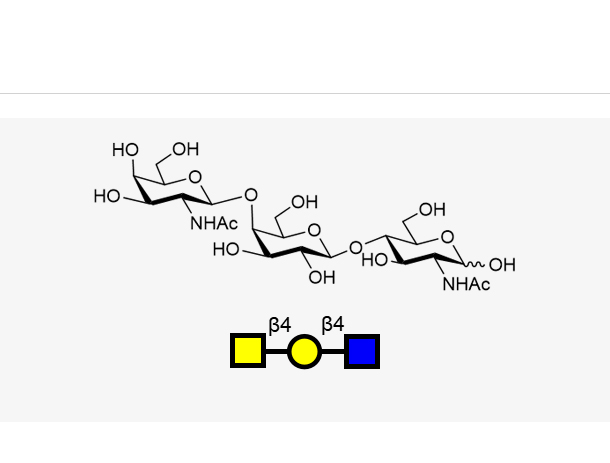 GalNAcb1, 4Galb1, 4GlcNAc