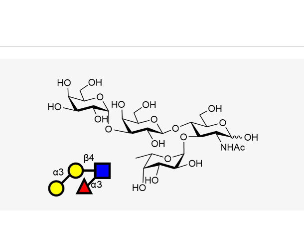 α-Gal LewisX Gala1,3Galb1,4(Fuca1,3)GlcNAc