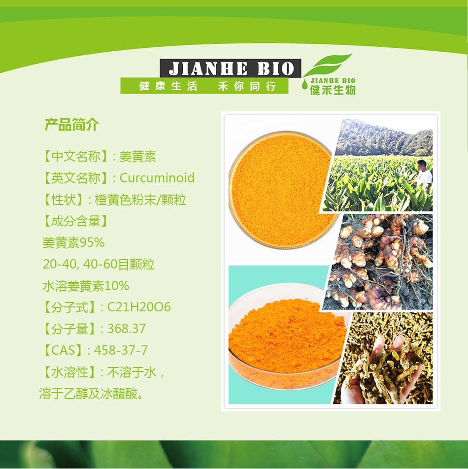 健禾生物-姜黄素95%-厂家直销 现货供应