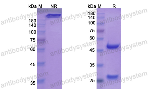 Research Grade Vatelizumab(DHD23401)