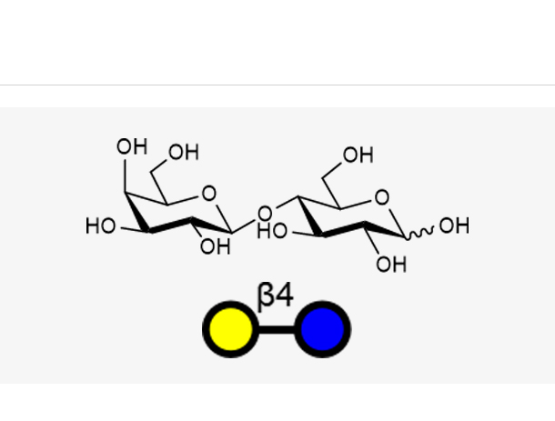 Lactose(Galb1, 4Glc)