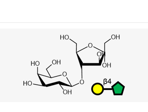 Lactulose(Galb1, 4Fru)