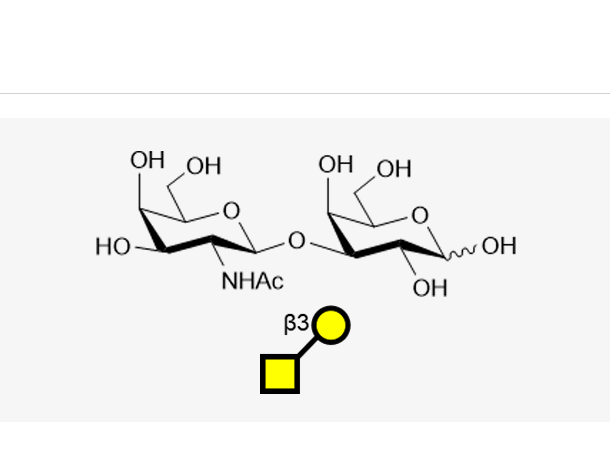 GalNAcb1, 3Gal