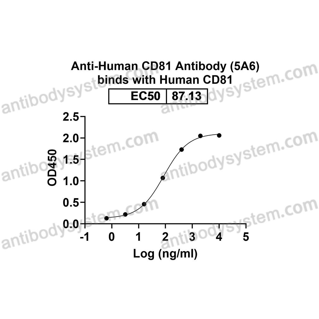 Anti-Human CD81 Antibody (5A6) (FHF34010)