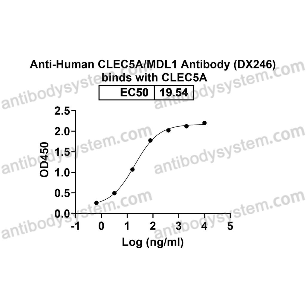 Anti-Human CLEC5A/MDL1 Antibody (DX246) (FHK16010)