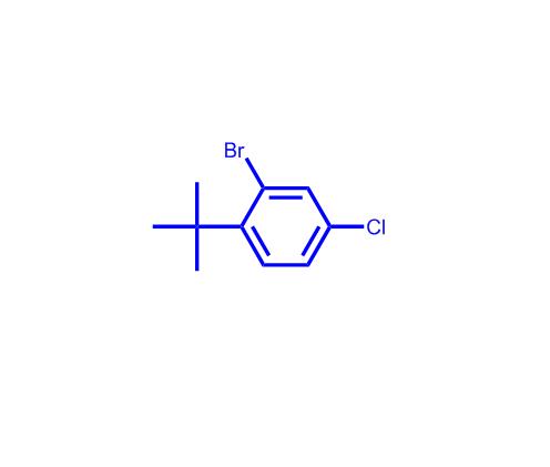 2-溴-1-(叔丁基)-4-氯苯369776-71-5