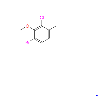 1226808-61-2；4-溴-2-氯-3-甲氧基甲苯