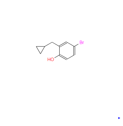 1243462-31-8；4-溴-2-（环丙基甲基）苯酚