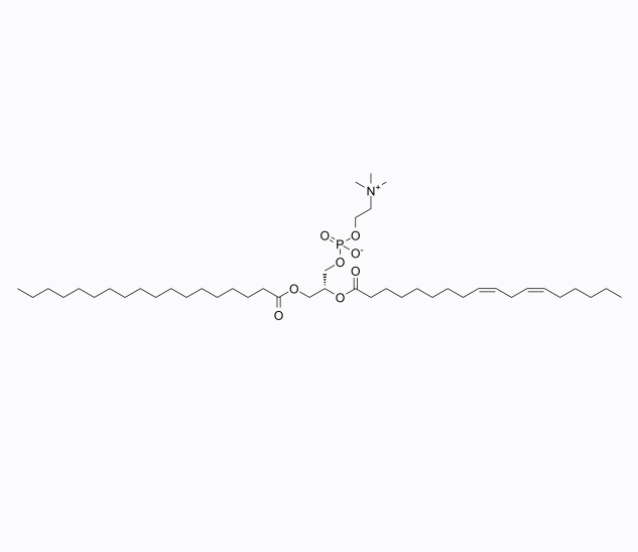 1-硬脂酰基-2-亚油酰基-sn-甘油-3-磷酸胆碱