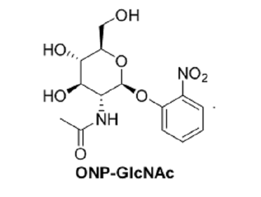 2-硝基苯基-N-乙酰基-β-D-氨基葡萄糖