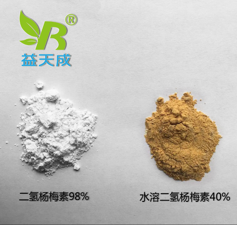 二氢杨梅素(98%HPLC)