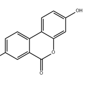 尿石素A