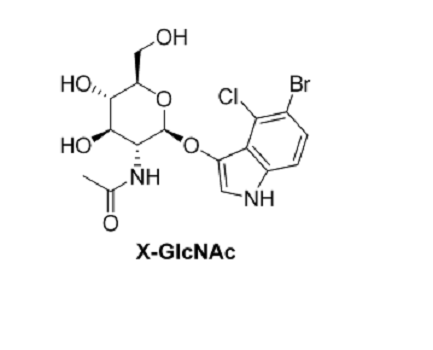 5-溴-4-氯-3-吲哚基-N-乙酰-β-D-氨基葡萄糖