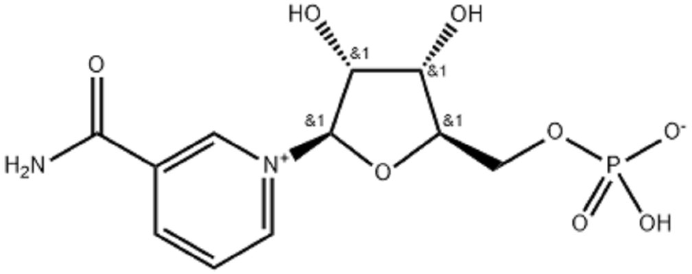 β-烟酰胺单核苷酸