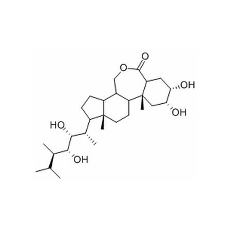 24-表油菜素内酯 78821-43-9