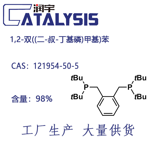 1,2-双((二-叔-丁基磷)甲基)苯 121954-50-5