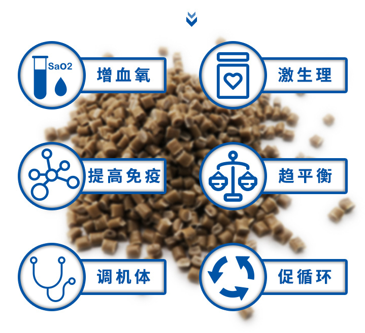 负离子塑料母粒 负离子粉体纳米填充技术制成的负离子母粒