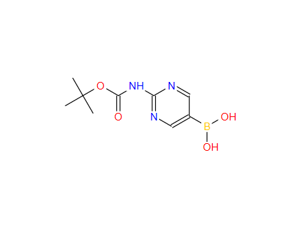 [2-(叔丁氧羰基氨基)嘧啶-5-基]硼酸