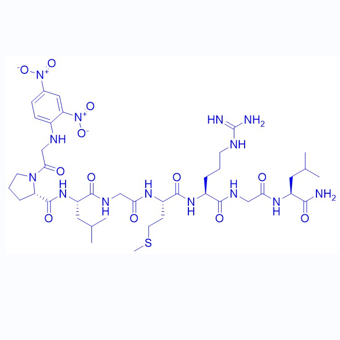 底物多肽MMP-13, Substrate/1872435-02-3/MMP-13, Substrate