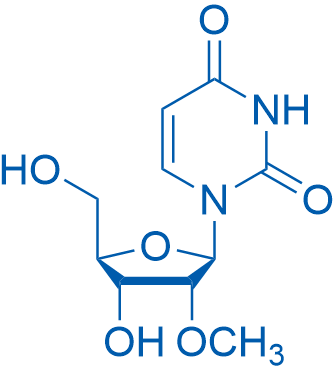 1-((2R,3R,4R,5R)-4-羟基-5-(羟甲基)-3-甲氧基四氢呋喃-2-基)嘧啶-2,4(1H,3H)-二酮