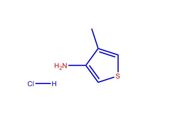 4-甲基噻吩-3-胺盐酸24030-00-0